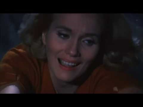 intellectual Montage