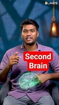 The secret brain in your gut! Explained