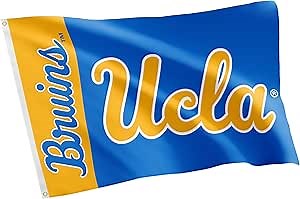 Desert Cactus UCLA Bruins Flag University of California Los Angeles Banners 100% Polyester Indoor Outdoor 3x5 feet Flags (Team Name)