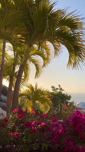 Raven | 🌅 | Instagram