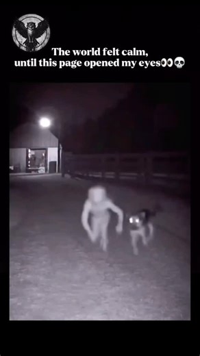 Wild Life Decoded on Instagram: "The Chupacabra is a well-known creature from modern folklore, with its first reported appearances dating back to Puerto Rico in 1995. Over time, reports of sightings spread to Mexico, parts of the southwestern United States, and South America. The name “Chupacabra” comes from Spanish and translates to “goat-sucker,” referring to stories that claim the creature attacks farm animals and drains their blood through small puncture wounds. Early descriptions portrayed 