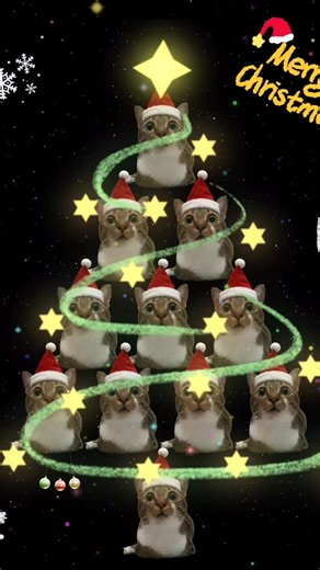 Tutu on Instagram: "Merry Christmas 🎄🎁"