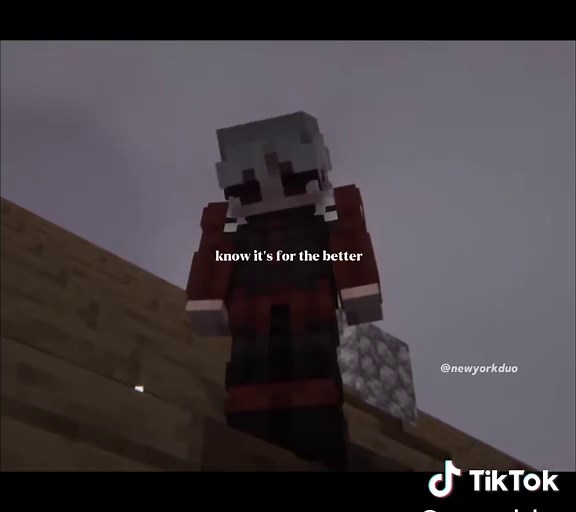 Next Video Will Bring Joy - Vampires SMP