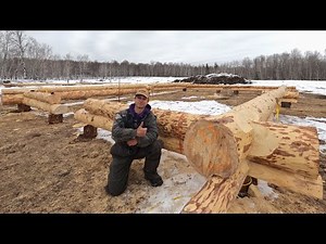 Building My Log Home Pt. 4 - Scribing the First Logs Onto the Wall!