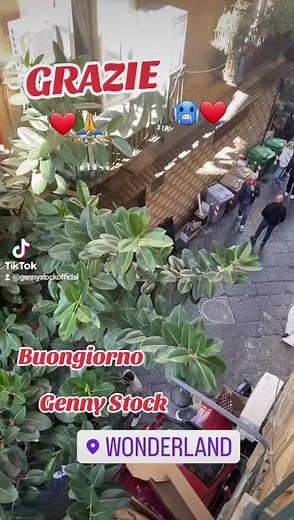 4.7K views · 15 reactions | Genny Stock Official on Reels | Facebook