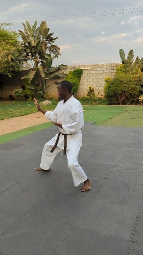 Kata practice ❤️ One of the beautiful things about karate | Ray Hometraining Karate Academy