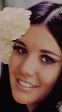Tiny Bubbles - Ray Conniff & The Singers (1967) Hawaii Song
