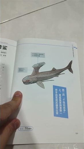 Evolution Of Animal Book 3