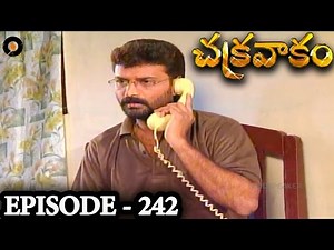 Episode 242 | Chakravakam Telugu Daily Serial