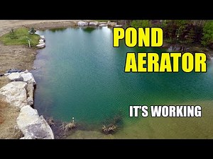 Pond Aerator // It's Improving the Water in the Backyard Pond