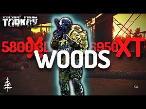 AMD Ryzen 7 5800X3D Stock + 6950XT 16GB Stock, Escape From Tarkov Woods Jaeger Early Quests 1440p