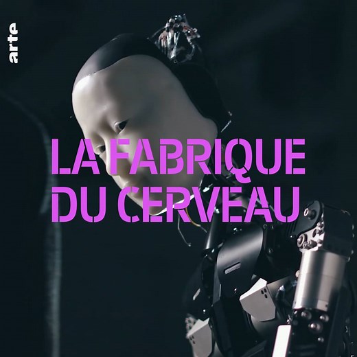 « Dans cent ans, nous saurons comment télécharger nos esprits dans des ordinateurs » : comment l'être humain tente de redéfinir le fait d'avoir l'esprit ailleurs ⤵ bit.ly/FabriqueCerveau | ARTE