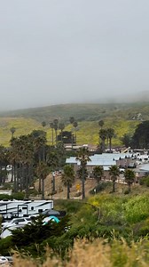 Grab your beach towels, slather on the sunscreen, and get out to explore the beauty of Jalama Beach. 🌴 Jalama Beach Park is a secluded park where visitors can unplug and immerse themselves in mother nature. Equipped with a general store, restaurant and breathtaking ocean views, this gorgeous coastal escape offers miles of coastline, making it a popular destination for a beach getaway.Additional activities include surfing, windsurfing, fishing, bird watching or just simply enjoying a day at the 