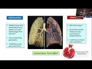 Webinar Recap: Airway Oscillometry in Pulmonary Function Testing