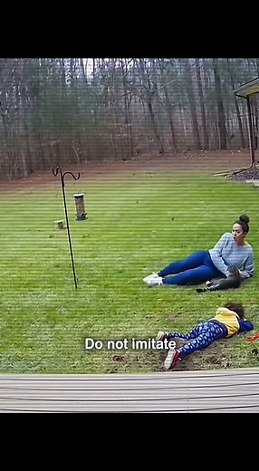 📸 “Heroic Counterattack — Cat Strikes Bear First” #fblifestyle #bear #tiger #cats #animallover #rescue | Oasis des Chats