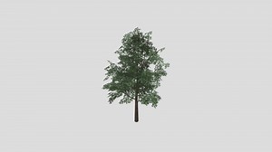 tree2 - 3D model by sadud123