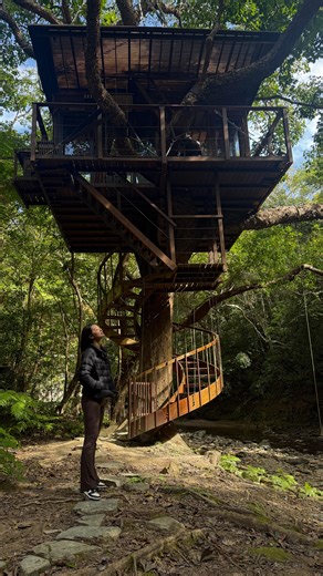Sumire on Instagram: "An incredible experience and getaway @treeful.treehouse 🍃 Thank you so much for having us @maha.kikugawa and can’t wait to go back again and detox 🙏"