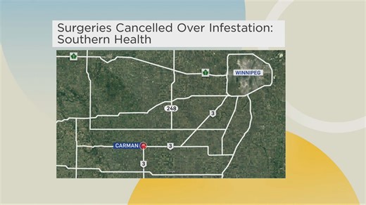 Ants prompt hospital to cancel surgeries