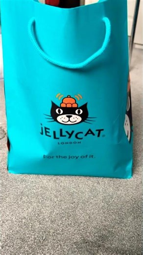 I ordered a JellyCat and this is what I got 😂🐈 #funnycats #cutecats