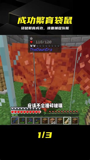 探索之旅2（108）：成功繁殖袋鼠，開始捕捉灰熊 #生存挑战，动物繁殖，捕捉灰熊，袋鼠，荒野探索