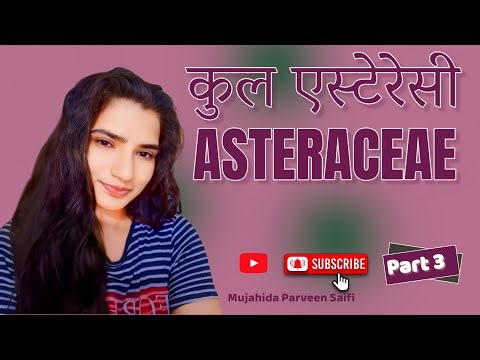 कुल एस्टेरेसी | Asteraceae | Part 3rd | Dr Mujahida Parveen Saifi