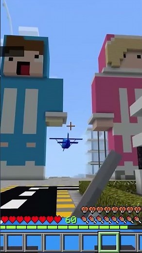 Mipan & Zuzuzu Plane Crash Due to Storm in Minecraft