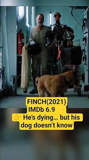 He’s dying… so he builds a robot for his dog | Finch #finch #shorts #movierecommendation