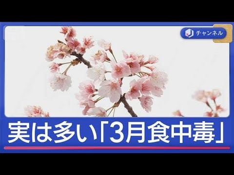 実は多い「3月食中毒」花見シーズン到来で気をつけたいポイント【スーパーJチャンネル】(2026年3月23日)