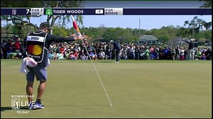 46K reactions · 25K shares | Tiger Woods from 71 feet...  | PGA TOUR | Facebook