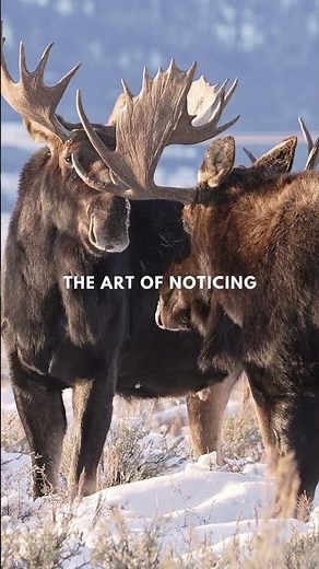 Conservation begins with awareness