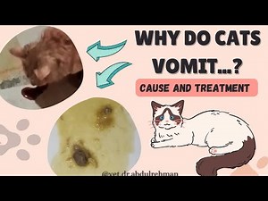 Why do cats vomit? Causes and Treatment of vomiting in cats. ‪@vet.dr.abdulrehman‬ #cat