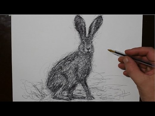 How to Draw a Jack Rabbit Awesome Scribble Art Style - Videos For Kids