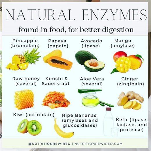 Which would you choose first? Digestive enzymes are necessary to break down food into simpler forms in order for the nutrients to be transported across the small intestine and into the bloodstream. People who struggle with enzyme deficiencies include those with low stomach acid, hypothyroidism, genetic disorders, pancreatic insufficiency, surgical procedures (gastric bypass, for example), and those taking certain medications such as antacids or proton pump inhibitors. There are three types of en