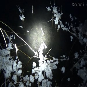 285K views · 1.1K reactions | Fishing on the spider lift Sunburn | Холлі | Facebook