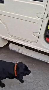 Gelephu Police apprehended four individuals attempting to traffic controlled substances through the Integrated Check Post (ICP) in Gelephu on 02 March 2025. During routine monitoring at the ICP, officers intercepted a suspect found in possession of six pieces of SPM-PRX . Further investigation led to the arrest of three additional individuals traveling in a Bolero vehicle. A thorough search of the vehicle was conducted with the assistance of the trained canine. The search led to the discovery of