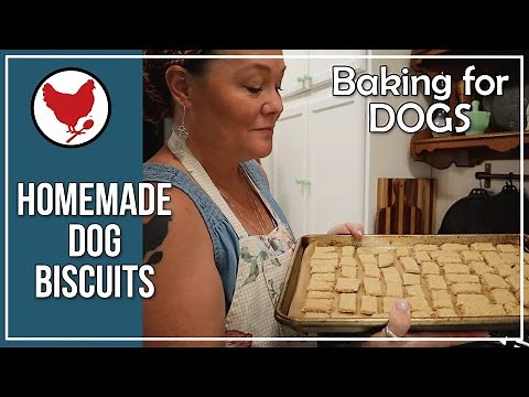How to Make Homemade Dog Biscuits & Azure Standard Haul