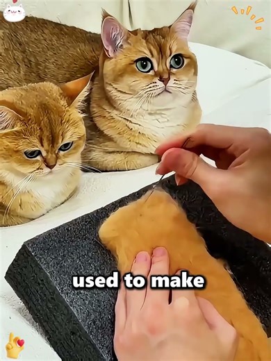 Making socks out of cat fur 😂😱🐱