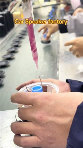 Custom Car Speaker Manufacturing Services