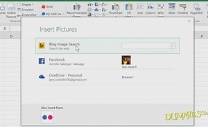 Inserting Images in a Chart in Excel 2016