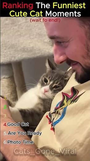 Ranking The Funniest Cute Cat Moments 🥹😂🐱