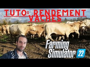 FS22/Tuto: Le rendement des vaches a viande!!!!