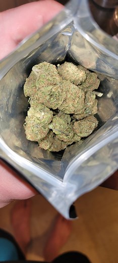 Zombie Kush | Marijuana Strain Reviews