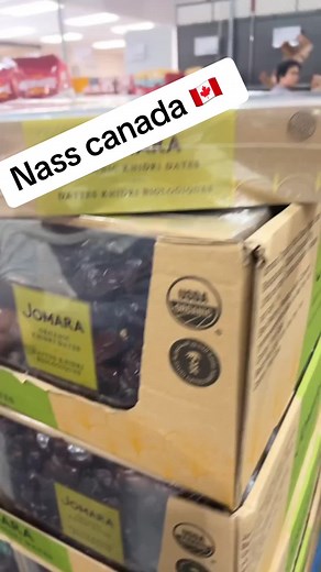 Canadian Influencer Highlights Morocco and Culture