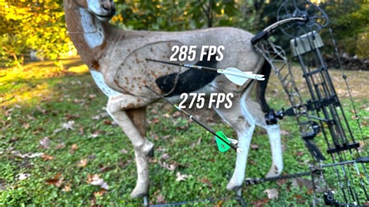 Everything Bowhunters Need to Know About Arrow Speed