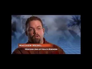 Animal Armageddon: Episode 4: Panic in the Sky (United States English Version)