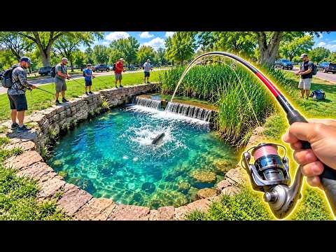 This TINY Over-Fished Park has a GIANT Surprise!