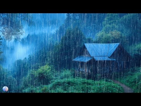 Release Stress and Fall Asleep Fast | Heavy Rain & Thunder on Old Metal Roof, Rainforest Night