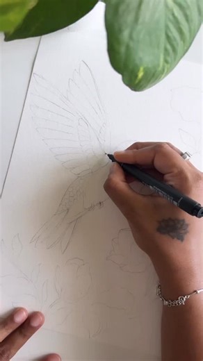 15K views · 971 reactions |  BOTANICAL LINE ART WORKSHOP: ONLINE ...