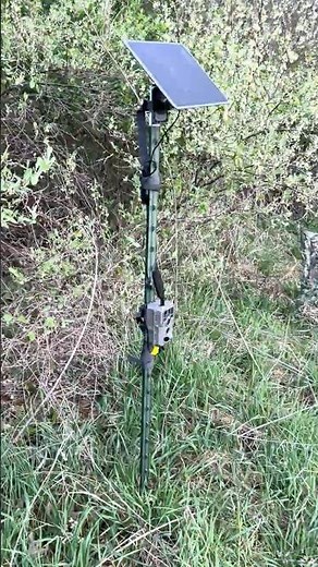 Gear review (guard pro trail camera ) #huntinglife #gearreview #birds #turkeyhunting