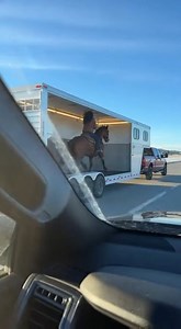 6.1M views · 10K reactions | Horse Appears to “Run in Place” Inside...